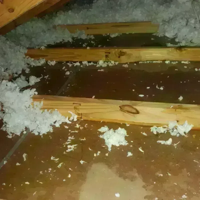 Attic Water Damage in Harrison County, KY